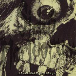 Sidus Mortuorum : Re-animated in Morgue